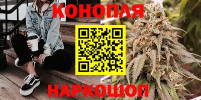 индика Ипатово