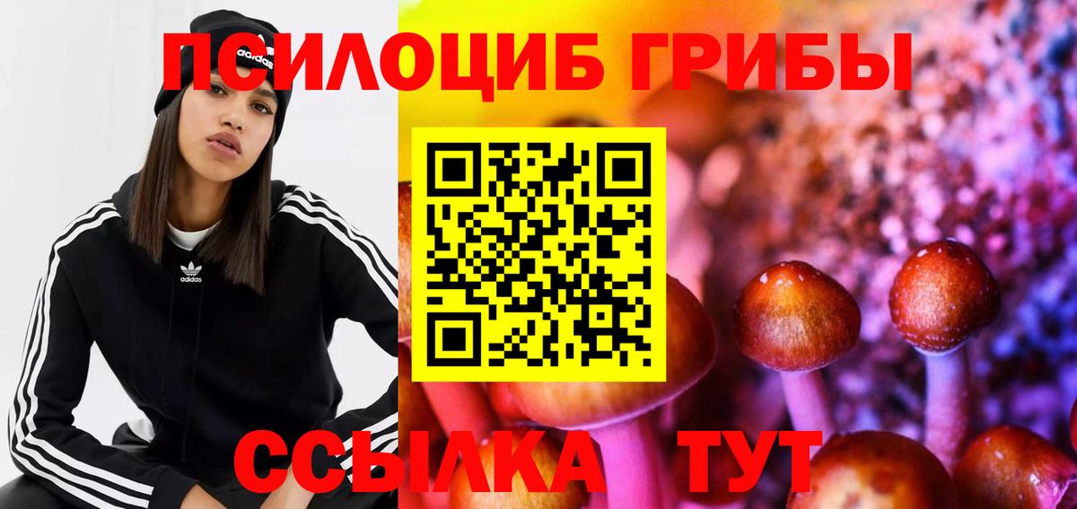 Кимовск  продажа наркотиков  Вход с VPN  Галлюциногенные грибы Psilocybine cubensis 