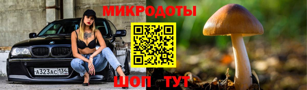 Галлюциногенные грибы мицелий Кимовск